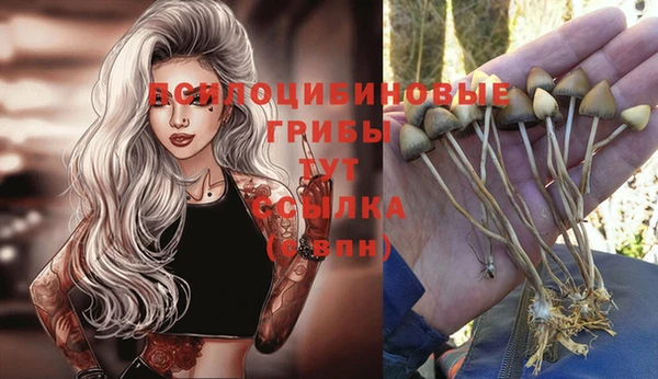 MDMA Premium VHQ Волоколамск