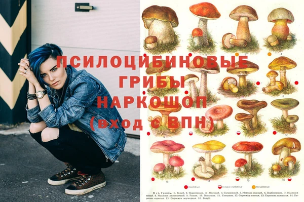 MDMA Premium VHQ Волоколамск