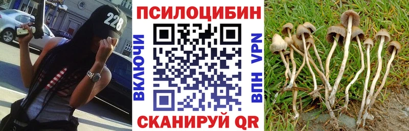 Купить закладки Полевской Псилоцибиновые грибы ЛСД